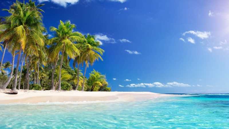 Sun, Sand, and Serenity: Escaping to Tropical Paradises